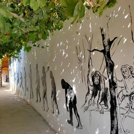 بيت شباب Oludeniz Hostel